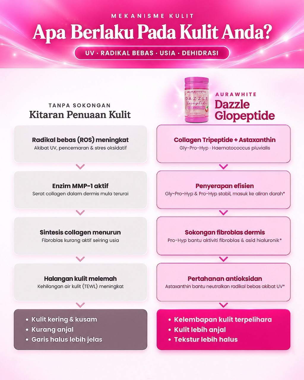 Mekanisme kulit: apa berlaku pada kulit anda tanpa sokongan berbanding dengan Aurawhite Dazzle Glopeptide