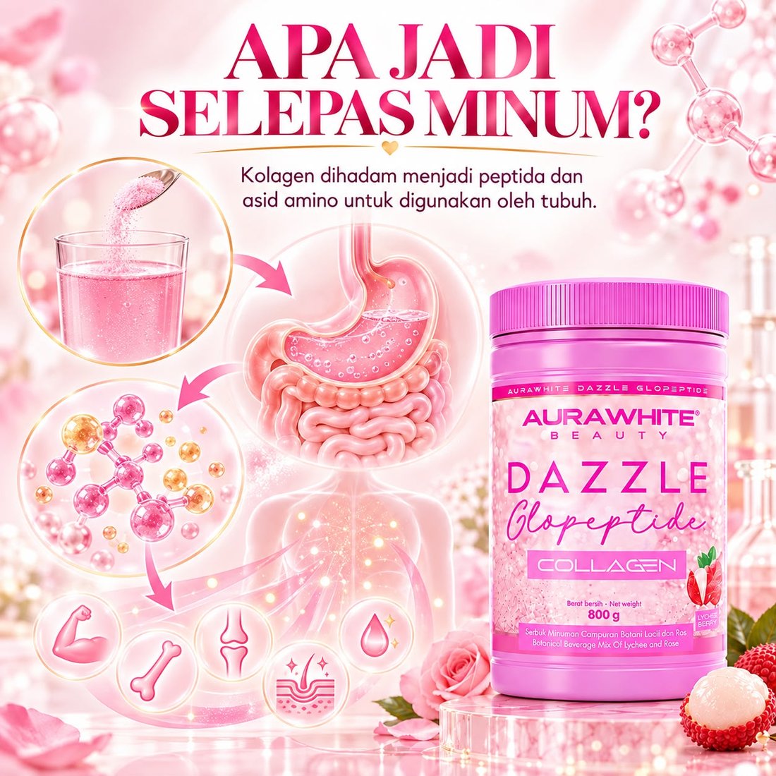 Apa jadi selepas minum Aurawhite Dazzle - kolagen dihadam menjadi peptida dan asid amino